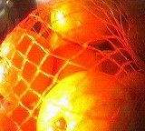 Nahaufnahme von Mandarinen in einem Netz